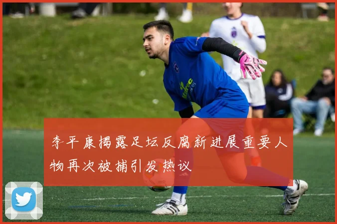 李平康揭露足坛反腐新进展重要人物再次被捕引发热议